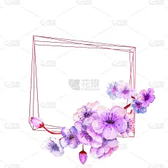 樱花，樱花枝与明亮的丁香花在一个几何框架上，在一个孤立的白色背景。春天的形象。水彩插图