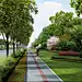 道路绿化、植物种植