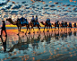 Sunset Camel Ride, Cable Beach, Western Australia