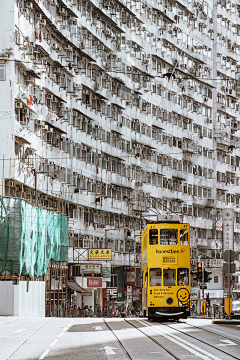 住鱼店的猫采集到场景