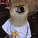 不考上研你就别改名了