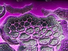 分形花边。分形艺术背景下的创意设计。装饰墙纸，桌面，卡片，海报，封面小册子。抽象的纹理。迷幻。打印衣