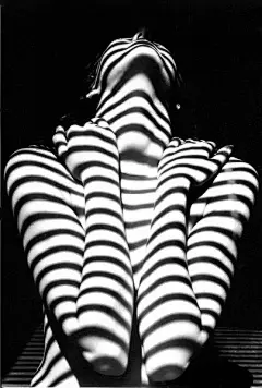 Stripes, photography like how the shadow is only cast on the skin: