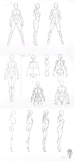07零柒zeroseven采集到人体参考