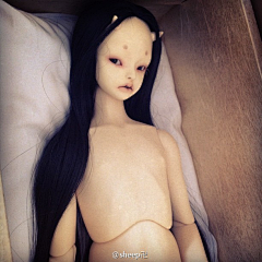 _徒手撕咩采集到BJD