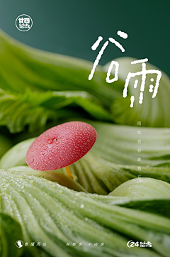 何仙姑-Queenie采集到品牌创意