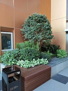 AT·sweet采集到花境