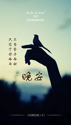 晨曦残雨采集到早安海报