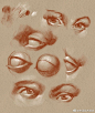 眼球结构 ​​​​