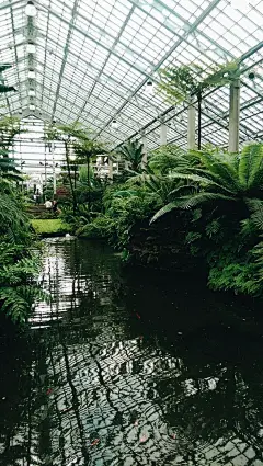 场景灵感夏天到啦！ - 小红书