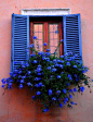 ¡Ventana con flores azules! / Vista www.agua-casa.es