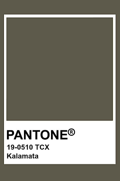 残酷、的现实采集到潘通(PANTONE)