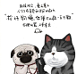 @吾皇的白茶 的个人主页 - 微博