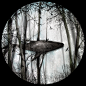 The whale : The whale