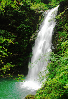 水公采集到井冈山   J