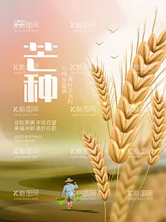 芒种  - 源文件下载【酷图网】芒种海报,芒种,芒种广告,24节气,芒种贴片,芒种微信贴片,芒种宣传海报,芒种宣传画面,芒种宣传,芒种节气,芒种节日,小麦,麦穗,二十四节气,高端节气稿,节气,芒种转发,芒种微信,芒种微信转发,芒种朋友圈,微信,芒种飞机稿,芒种微信稿,芒种地产稿,地产芒种,芒种素材