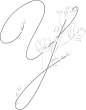唯美婚礼素描字母花卉植物海报请柬装饰免抠PNG元素图案PS合集 (219)