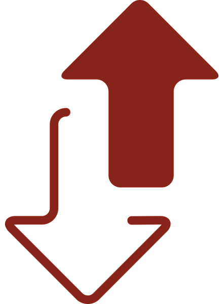 双面 icon