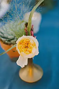 婚嫁&amp;婚礼&amp;礼服