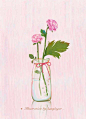 @菡清儿Hiker插画  花束遇上透明器皿…总有些事物在诠释着静态下的多姿与丰富，而作为一个暗淡角落里的观察者，是多么幸运的造物者的恩宠~ ​​​​
