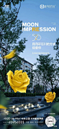 品牌 520