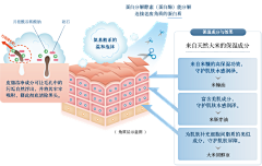 随kid采集到详情页--功能解析