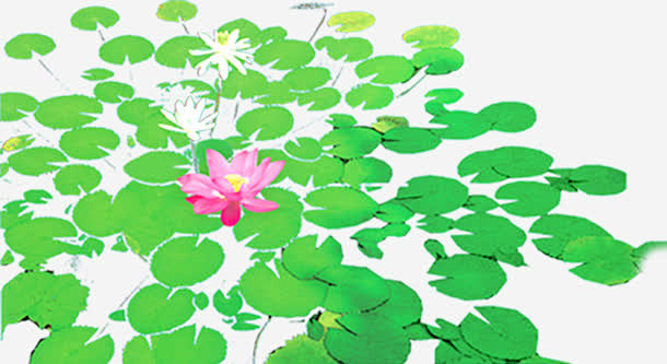 荷花池塘壁纸设计_新图网 https:/...