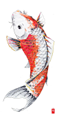Zwart, wit, rode koi met japanse bol die omhoog zwemt voor back tattoo, kalligrafisch: 