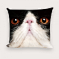 个性写真猫咪沙发方形抱枕 4号咪 #喵星人# #猫#