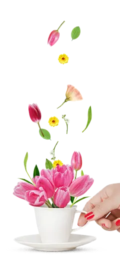 手机端、无线端首页、手机端首页、手机APP首页、淘宝手机端首页、天猫手机端首页、男装手机端首页、女装手机端首页、食品手机端首页、饰品手机端首页、童装手机端首页、母婴手机端首页、电器手机端首页、箱包手机端首页、鞋子手机端首页 无线钻石展位，首焦资源位，创意海报设计，手机端海报，无线钻展，淘宝APP，天猫APP，首焦海报，天猫京东电商活动轮播海报平面设计 男女装 家电数码 电器建材 母婴玩具 箱包女鞋 珠宝首饰 美妆 化妆护肤品 食品 茶 酒 电脑办公
家居背景、家居海报背景、海报背景、家居场景、家装背景、家