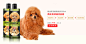首页-temothy提莫旗舰店-天猫Tmall.com