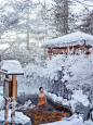 躺在42度的雪地温泉里有被温暖到