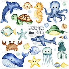 海底生物，鲸鱼，章鱼，鲨鱼，螃蟹，海豚，海龟，鱼。水彩画的手绘
