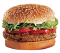 hamburger, burger PNG image