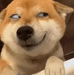 谁懂！这些表情包，简直是我的“犯贱”嘴替 - 小红书