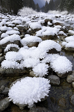 浅水微凉采集到天山雪后海风寒