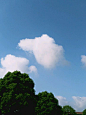想和你说今天的云十分可爱-唯美图片-Q友乐园