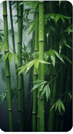 我有左耳采集到摄影/镜头/美图/素材