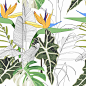 Tropical plants, strelitzia and leaves. 