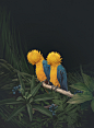 Friendship on Behance