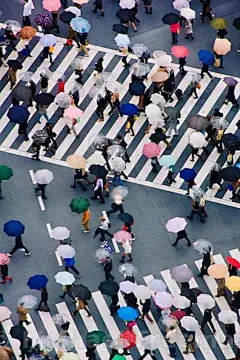 If Google says we should go well then... #japantravelpictures