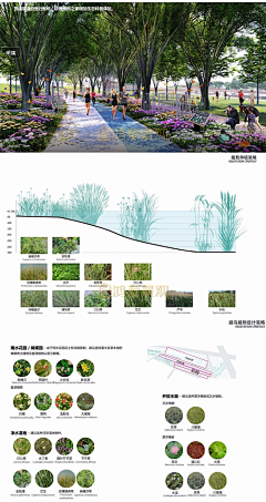 汤水水水采集到湿地