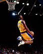 Bean would've turned 45 today 
Happy birthday to the Mamba 1,440×1,800像素