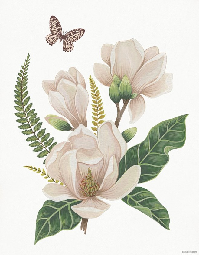 护肤品包装上的清新花鸟插画-Charlo...