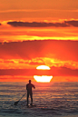 wavemotions:  Sunset