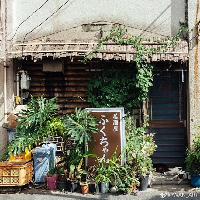 ☁︎  钢笔淡彩素材精选  「小店铺」