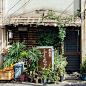 ☁︎  钢笔淡彩素材精选  「小店铺」