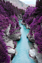 苏格兰斯凯岛的仙女池，一片令人迷醉的紫色，荡漾着一条碧波，美得不似人间！
