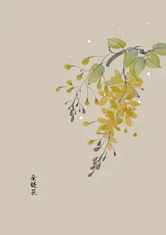 四月份的生日花17~30号 | artistic青尘 - 原创作品 - 涂鸦王国插画