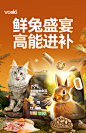 维利亚兔肉猫粮生骨肉鲜肉冻干双拼成猫幼猫增肥发腮营养全价猫粮-tmall.com天猫